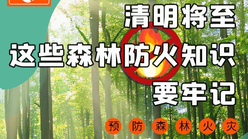 【甘快看】圖解|緊繃“安全弦”！清明，這些森林防火知識要牢記