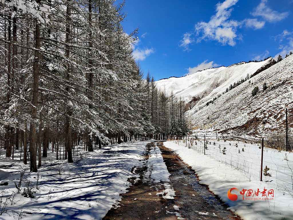 祁連雪墨染夏青