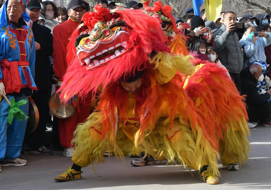 蘭州北獅表演現(xiàn)場。受訪者供圖
