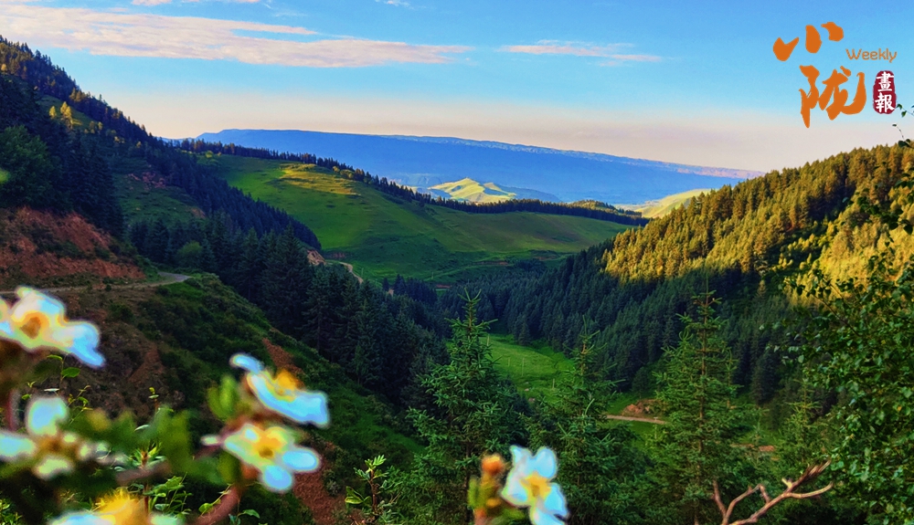 【小隴畫(huà)報(bào)·416期】肅南：一眼心動(dòng) 祁連山秋日的配色太美了！