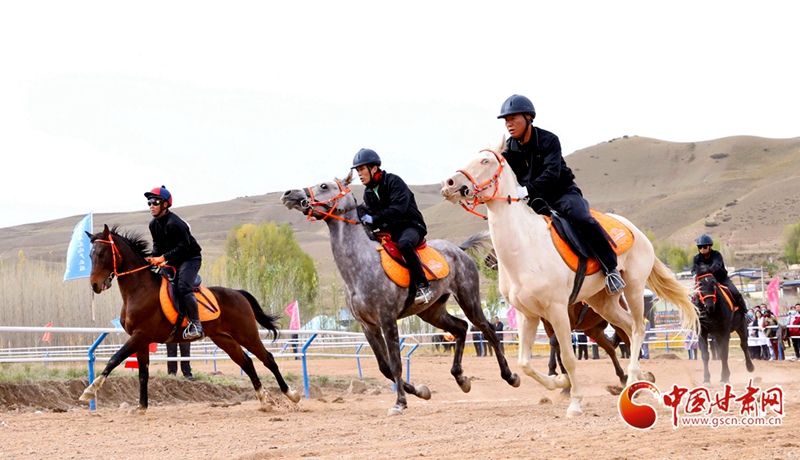 隴拍客丨祁連山下駿馬馳騁引游客