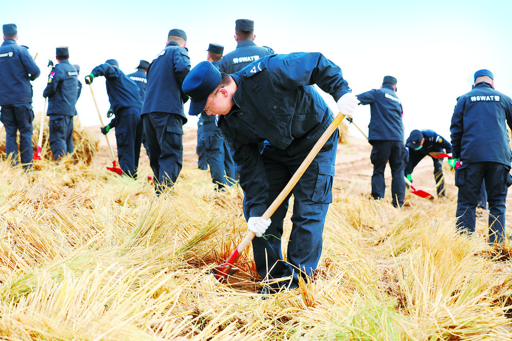 金色戰(zhàn)甲”鎖住流動沙丘