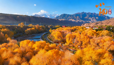 肅南：多彩秋日 滿目金黃