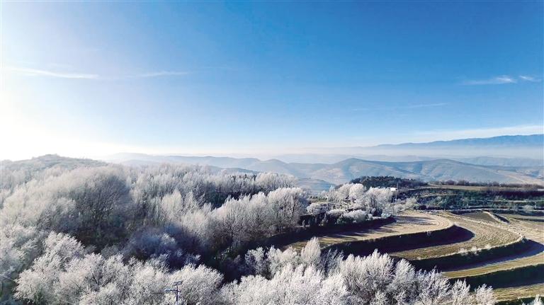 霧凇花開(kāi)美如畫