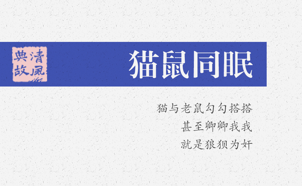 貓鼠同眠 | 貓與老鼠勾勾搭搭，甚至卿卿我我，就是狼狽為奸