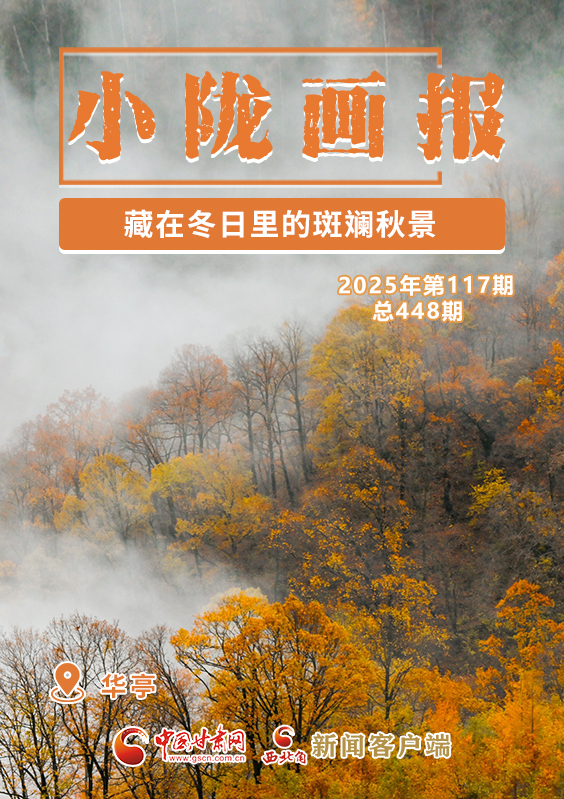 【小隴畫報(bào)·448期】華亭：藏在冬日里的斑斕秋景